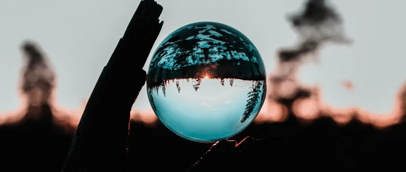 clear ball on wood trunk